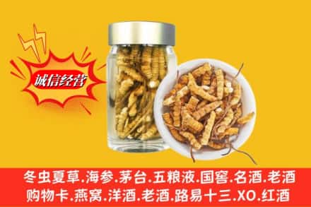 恩施州宣恩县回收散虫草