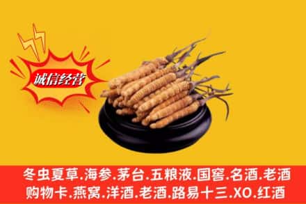 恩施州宣恩县求购回收虫草多少钱每克